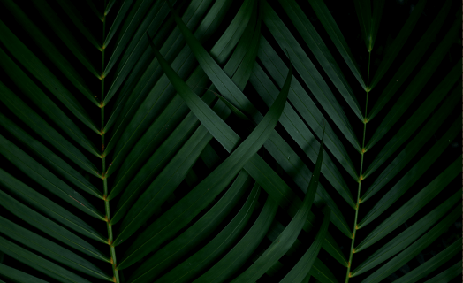 https://grandtrevista.rumahsph.com/wp-content/uploads/2020/03/inner_01_02.png